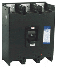 DZ20Y-100/330塑料外壳式断路器